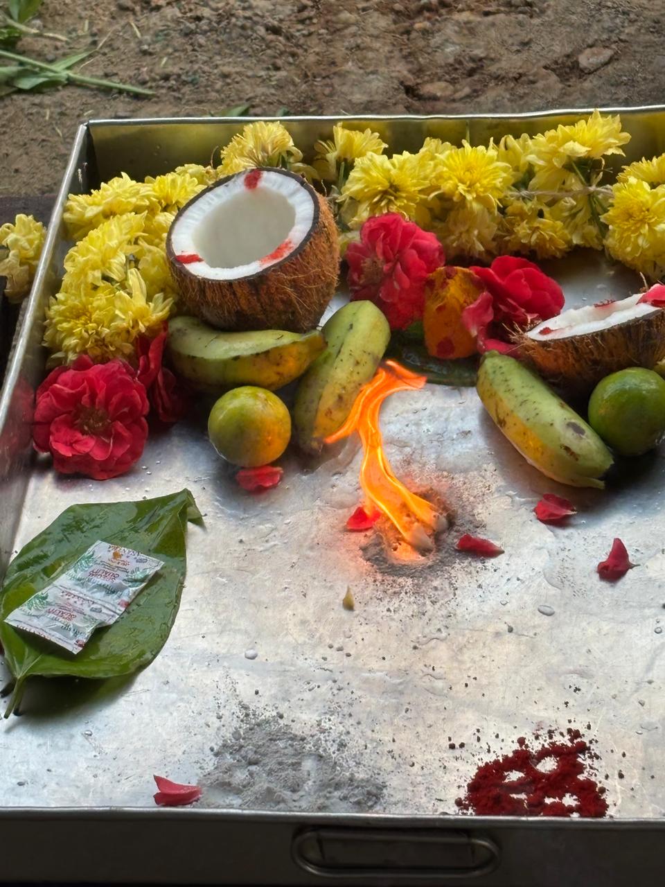 Chicken Cheese Pocket